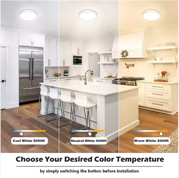 12'' Smart LED Ceiling Light
